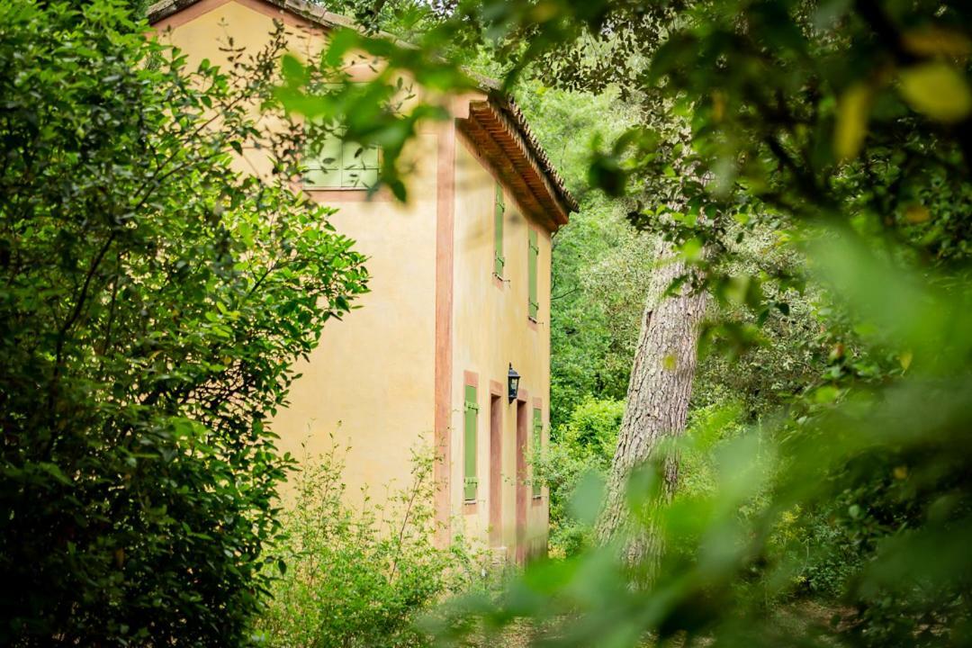 Hotel Chateau Martinay Carpentras Exteriér fotografie
